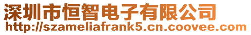 深圳市恒智電子有限公司
