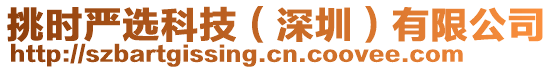 挑時嚴選科技(深圳)有限公司