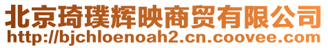 北京琦璞輝映商貿有限公司