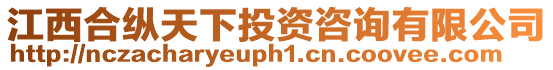 江西合縱天下投資咨詢有限公司