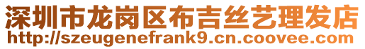 深圳市龍崗區(qū)布吉絲藝理發(fā)店