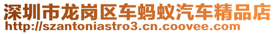 深圳市龍崗區(qū)車螞蟻汽車精品店