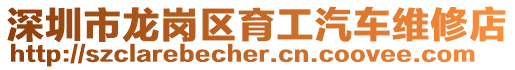 深圳市龍崗區育工汽車維修店