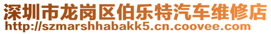 深圳市龍崗區伯樂特汽車維修店