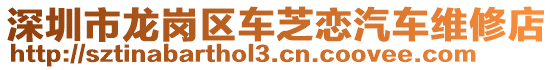 深圳市龍崗區車芝戀汽車維修店