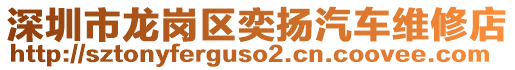 深圳市龍崗區(qū)奕揚(yáng)汽車維修店