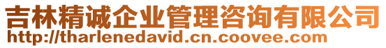 吉林精誠(chéng)企業(yè)管理咨詢有限公司