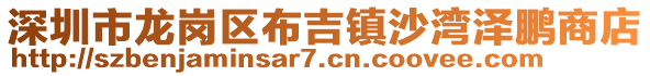 深圳市龍崗區(qū)布吉鎮(zhèn)沙灣澤鵬商店