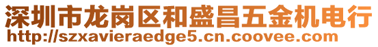 深圳市龍崗區(qū)和盛昌五金機(jī)電行