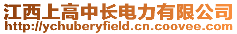 江西上高中長電力有限公司