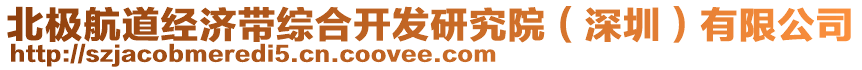 北極航道經(jīng)濟帶綜合開發(fā)研究院（深圳）有限公司