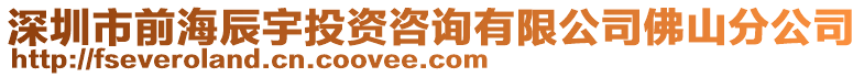 深圳市前海辰宇投資咨詢有限公司佛山分公司