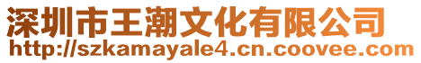 深圳市王潮文化有限公司