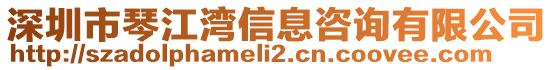 深圳市琴江灣信息咨詢有限公司