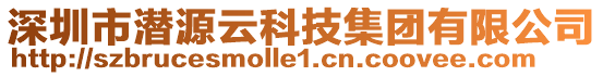 深圳市潛源云科技集團有限公司