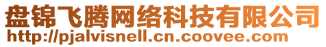 盤(pán)錦飛騰網(wǎng)絡(luò)科技有限公司