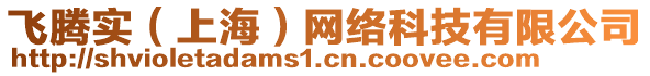 飛騰實（上海）網(wǎng)絡(luò)科技有限公司