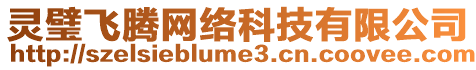靈璧飛騰網絡科技有限公司