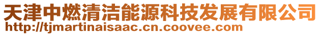 天津中燃清潔能源科技發展有限公司