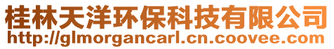 桂林天洋環(huán)保科技有限公司