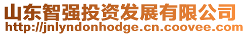 山東智強投資發展有限公司
