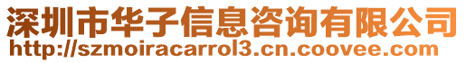 深圳市華子信息咨詢有限公司