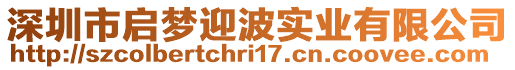 深圳市啟夢迎波實業有限公司