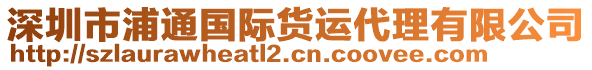 深圳市浦通國際貨運代理有限公司