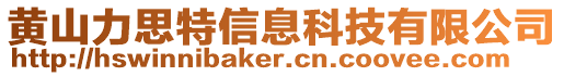 黃山力思特信息科技有限公司