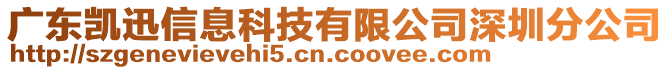 廣東凱迅信息科技有限公司深圳分公司