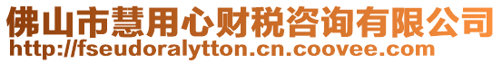 佛山市慧用心財稅咨詢有限公司