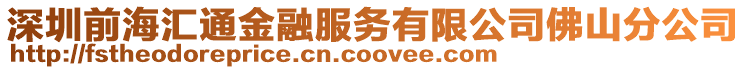 深圳前海匯通金融服務有限公司佛山分公司