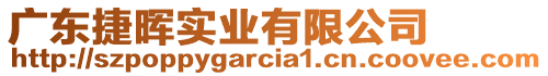 廣東捷暉實業有限公司