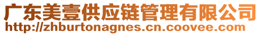 廣東美壹供應(yīng)鏈管理有限公司