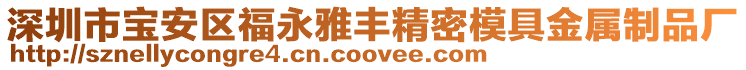 深圳市寶安區福永雅豐精密模具金屬制品廠