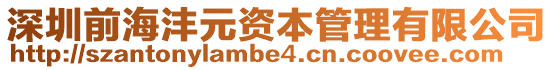 深圳前海灃元資本管理有限公司