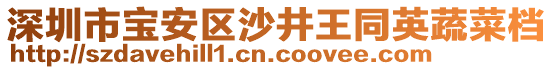 深圳市寶安區(qū)沙井王同英蔬菜檔