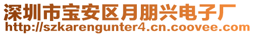 深圳市寶安區月朋興電子廠