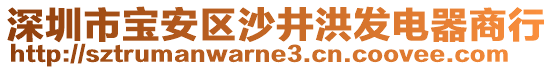 深圳市寶安區(qū)沙井洪發(fā)電器商行