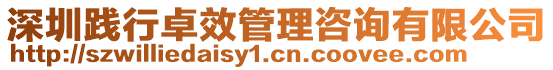 深圳踐行卓效管理咨詢有限公司