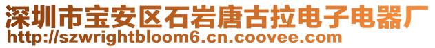 深圳市寶安區(qū)石巖唐古拉電子電器廠