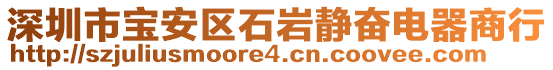 深圳市寶安區(qū)石巖靜奮電器商行