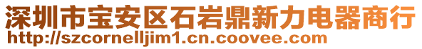 深圳市寶安區(qū)石巖鼎新力電器商行