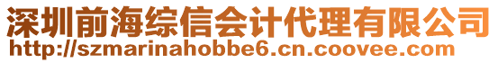 深圳前海綜信會計代理有限公司