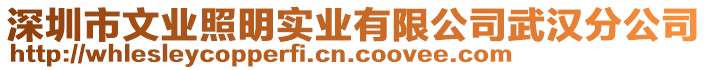 深圳市文業(yè)照明實(shí)業(yè)有限公司武漢分公司