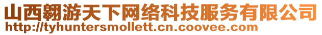 山西翱游天下網絡科技服務有限公司