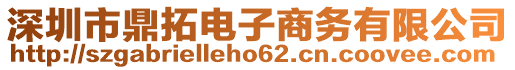 深圳市鼎拓電子商務(wù)有限公司