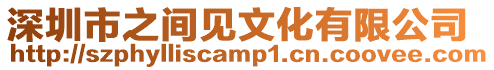 深圳市之間見文化有限公司