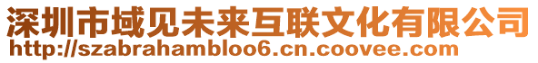 深圳市域見未來互聯文化有限公司