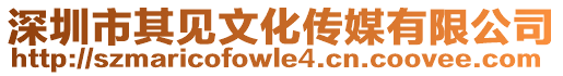 深圳市其見(jiàn)文化傳媒有限公司